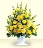FTD Glowing Ray Arrangement