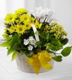 Bit of Sunshine Basket