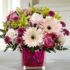 Special Request 250 – Intl