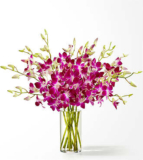 Positively Purple Orchid Bouquet – FedEx