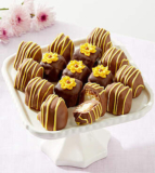 Sunny Days Belgian Chocolate – Covered Cheesecake Bites – FedEx