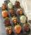 Thankful Chocolate Covered Strawberries – FedEx