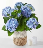 Beyond Blue Hydrangea and Smoldering Rose Gift Set – FedEx