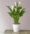 Classic White Calla Lily – FedEx