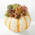 Belgian Chocolate   Dipped Strawberries and Cheesecake Pops – FedEx