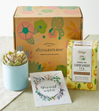 Warmest Wishes Succulent Gift Box – FedEx