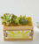Sending Sunshine Succulent Crate – FedEx