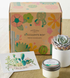 I’m Sorry Succulent Gift Box – FedEx