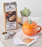 Cozy Succulent Gift Box – FedEx