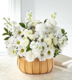 Graceful Garden Basket