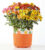 Fall Leaves Tricolor Mum – FedEx