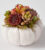 Live White Pumpkin Succulent Garden Mini – FedEx