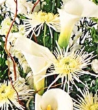 Florist Designed Sympathy – Intl