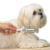 Trim-a-Pet Precision Pet Grooming Tool