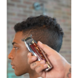 WahlÂ® Professional 5-Star Series Lithium-Ion Cord/Cordless Detailer