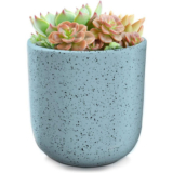 Indoor/Outdoor Speckled Ceramic Pot for Plants – 5.75” – White