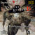 Vampire Hunter D 13: Twin-Shadowed Knight Parts One and Two