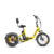 Addmotor Citytri E-310 Electric Trike with 750W 20Ah Best Electric Tricycle Under $2000 Up To 90 Miles – Yellow